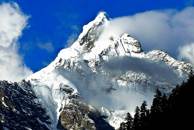 g1682高鐵途經站點